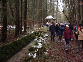 ALLEMAGNE - BALADE A BOTTENBACH-reste-du-monde