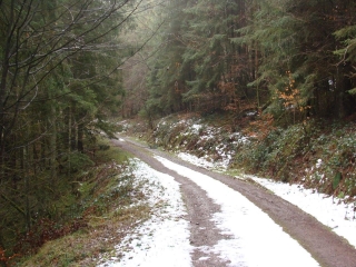 ALLEMAGNE - BALADE A BOTTENBACH-reste-du-monde