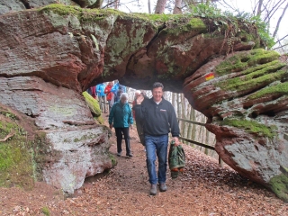 ALLEMAGNE - LE PREMIUMWANDERWEG FELSENWALD-reste-du-monde
