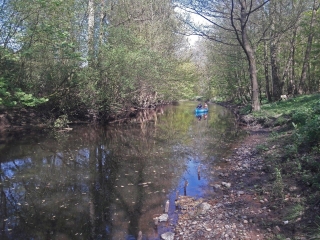 ALLEMAGNE - LE LONG DE L ALSTER DE KAYHUDE-HEIDKRUG A OHLSDORF-reste-du-monde