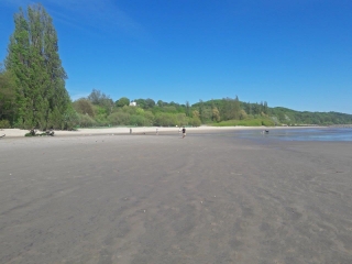 ALLEMAGNE - DE STADE A BLANKENESE-reste-du-monde