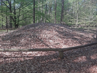 ALLEMAGNE - FISCHBEKER HEIDE ET WILDPARK-reste-du-monde