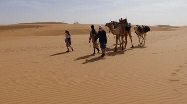 MAURITANIE - RANDONNEE DES 4 OUEDS DANS LE DESERT DE  L ADRAR PRES DE CHINGUETT-reste-du-monde