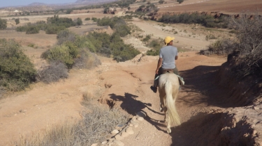 MAROC - SIDI-KAOUKI AU SUD D ESSAOUIRA-reste-du-monde