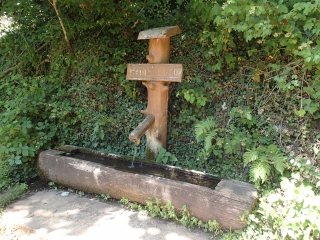 ALLEMAGNE - WADERN BUSCHFELD - LE CHEMIN DE L EAU-reste-du-monde