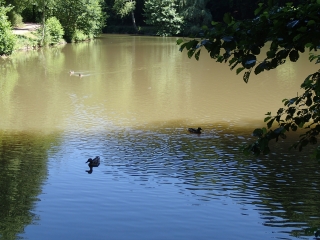 ALLEMAGNE - WADERN BUSCHFELD - LE CHEMIN DE L EAU-reste-du-monde