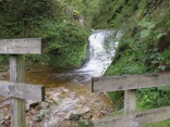 ALLEMAGNE - LES CASCADES DE ALLERHEILIGEN-reste-du-monde