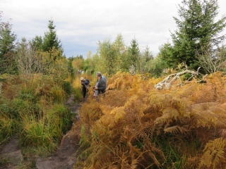 ALLEMAGNE - LOTHARPFAD OU SENTIER DE LOTHAR-reste-du-monde