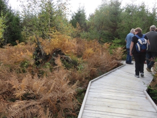 ALLEMAGNE - LOTHARPFAD OU SENTIER DE LOTHAR-reste-du-monde