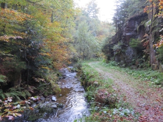 ALLEMAGNE - SENTIER WIESENSTEIG A BAD GRIESBACH-reste-du-monde