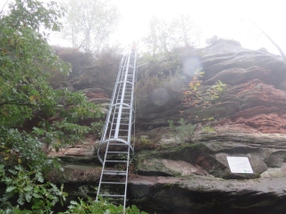 ALLEMAGNE - HAUENSTEINER SCHUSTERPFAD-reste-du-monde