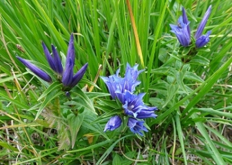 ITALIE - RANDO VERS LE REFUGE BENEVOLO-reste-du-monde