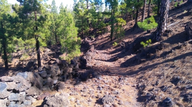 TENERIFE - ARGUAYO - ERMITAGE DE L ANGE - CORONA FORESTAL-reste-du-monde