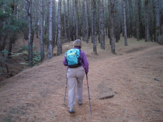 CANARIES - LOS CANARIOS - VOLCAN MARTIN-reste-du-monde