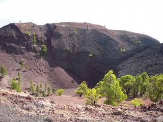 CANARIES - LOS CANARIOS - VOLCAN MARTIN-reste-du-monde