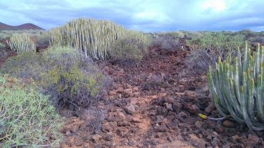 TENERIFE - MALPAIS DE GUIMAR-reste-du-monde