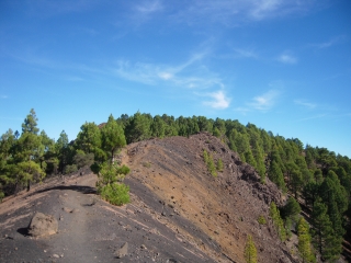 CANARIES - EL PILAR - LA DESEADA-reste-du-monde