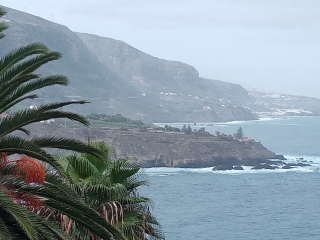 TENERIFE - PUERTO DE LA CRUZ-reste-du-monde