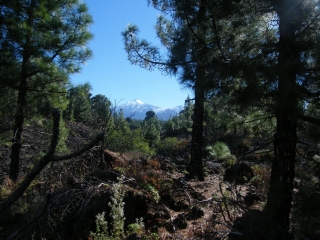 TENERIFE - CHINYERO-reste-du-monde