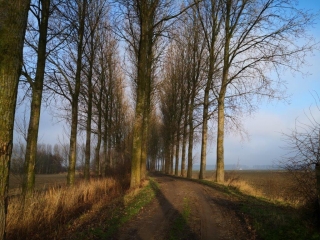 HOLLANDE - AARDENBURG - SLUIS - AARDENBURG-reste-du-monde