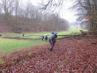 ALLEMAGNE - BALADE AUTOUR DE HORNBACH - RUND UMS HORNBACHTAL-reste-du-monde
