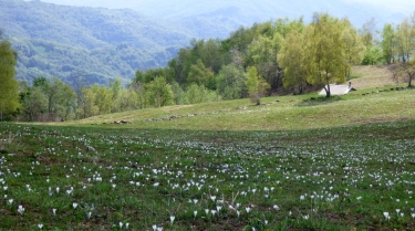 ITALIE - LA VIA DEI MIGRANTI - DAY 1 - CARAGLIO - PARALOUP-reste-du-monde
