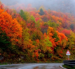ITALIE - LA VIA DEI MIGRANTI - DAY 5 - SAMBUCO - PONTEBERNARDO-reste-du-monde