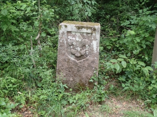 ALLEMAGNE - MERZIG - CIRCUIT BIETZERBERGER-reste-du-monde