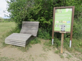 ALLEMAGNE - LE SENTIER DES ORCHIDEES A GERSHEIM-reste-du-monde