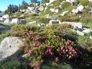 ANDORRE - LES LACS DE GRANDVALIRA-reste-du-monde