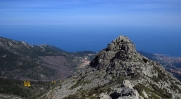 ITALIE - MARCIANA - POMONTE (MONTE CAPANNE)-reste-du-monde