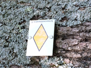 ALLEMAGNE - REICHENBACH MAIHOCK-reste-du-monde