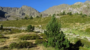 ANDORRE - PIC DE LA SERRERA 2913 M-reste-du-monde