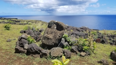 RAPA NUI - A L OUEST D AHU A KIVI-reste-du-monde