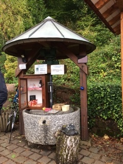 ALLEMAGNE - SAASBACHWALDEN SCHNAPSBRUNNENWEG-reste-du-monde