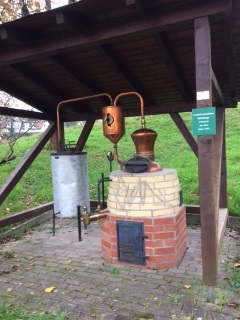 ALLEMAGNE - WALDULM-reste-du-monde