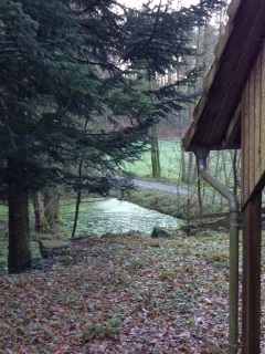 ALLEMAGNE - ZUMSWEIER-reste-du-monde