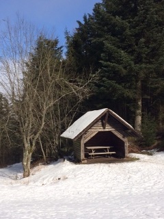 ALLEMAGNE - RAQUETTE A NEIGE -  HORNISGRINDE-reste-du-monde