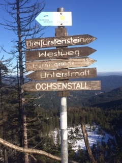 ALLEMAGNE - RAQUETTE A NEIGE -  HORNISGRINDE-reste-du-monde