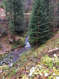 RENCHTAL-reste-du-monde