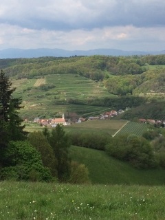 ALLEMAGNE - EICHSTETTEN (KAYSERSTUHL) MAIHOCK-reste-du-monde