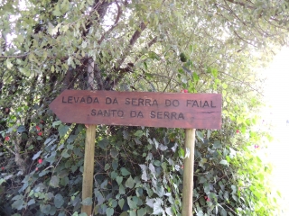 MADERE - LAVADA DE SANTO DA SERRA DO FAIAL-reste-du-monde