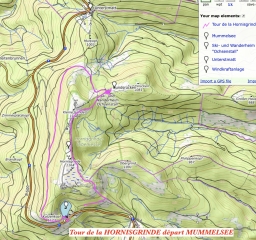 ALLEMAGNE - TOUR DE LA HORNISGRINDE-reste-du-monde