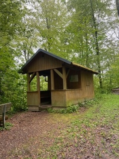 ALLEMAGNE - EICHELSPITZE DANS LE KAYSERSTUHL-reste-du-monde