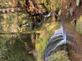 ALLEMAGNE WILDE RENCH-reste-du-monde