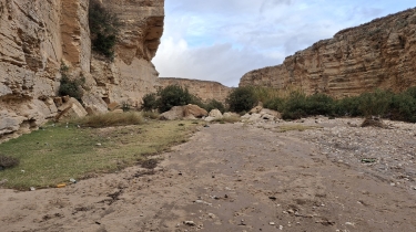 TUNISIE - CANYON DE L OUED SBEITLA-reste-du-monde