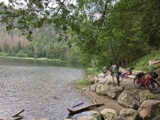 BALADE AUTOUR DU PLUS HAUT SOMMET DU SCHWARZWALD ; LE FELDBERG, ALTITUDE 1494 M-reste-du-monde