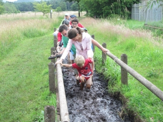 ALLEMAGNE - LUDWIGSWINKEL - SENTIER PIEDS-NUS - BARFUBPFAD - CHEMIN DES SCULPTURES - SKULPTURENWEG-reste-du-monde