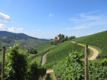 ALLEMAGNE - AUTOUR DE DURBACH SUR LE CHEMIN  DURBACHER WEINPANORAMA-reste-du-monde
