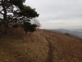 ALLEMAGNE - PERL - CIRCUIT PANORAMIQUE FRANCO-ALLEMAND-reste-du-monde